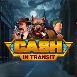 Logo image for Cash in Transit