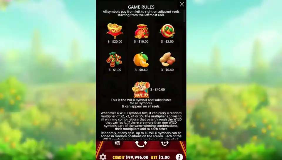 Lucky Mouse Game Rules